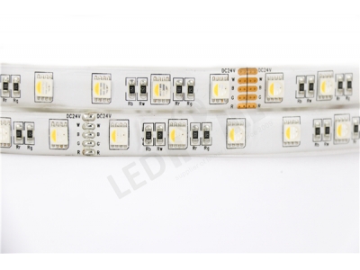 5050 60led/m RGB+W LED灯条