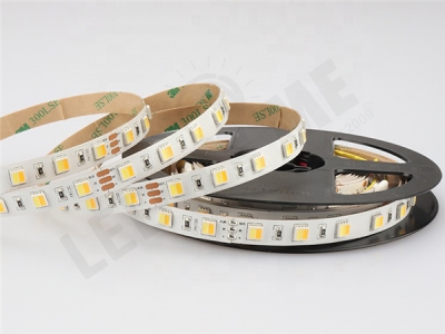 3838 60led CCT Light Strip (2 in one)