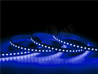 3838 and 2110 360led/m RGBCCT LED strip